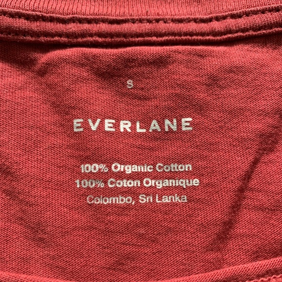 Everlane cropped tee - Picture 4 of 4
